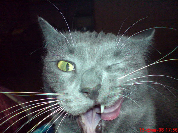 Игорь Кочнев