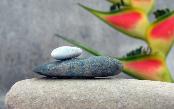 Александр Чалкин