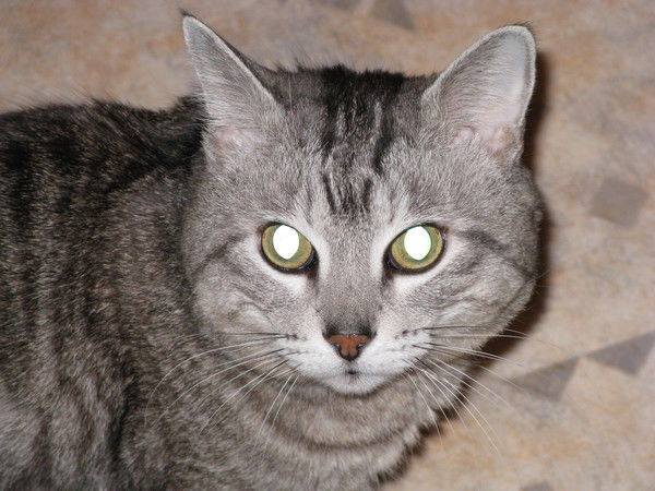 Наталия Пономарева