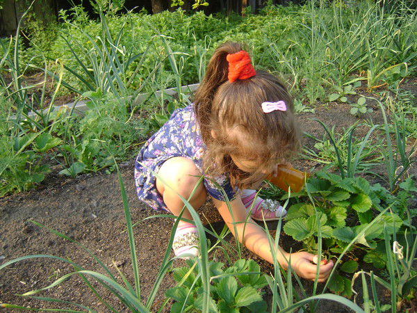 Алексей Шевелев