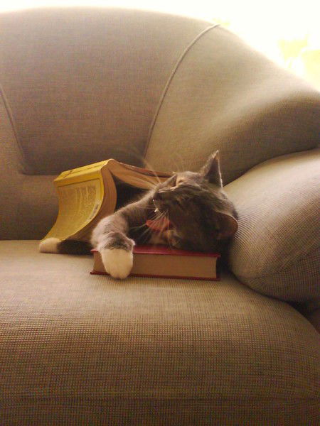 Сандра Суздальницкая