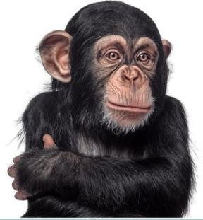 Игорь Пивоваров