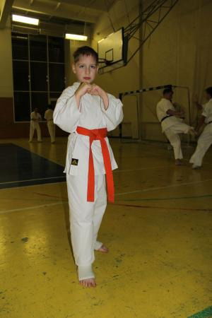 Влад Дубровин