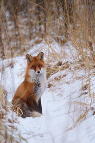 Дима Безфамильный
