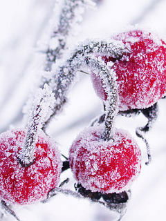 Тетяна Кондрацька