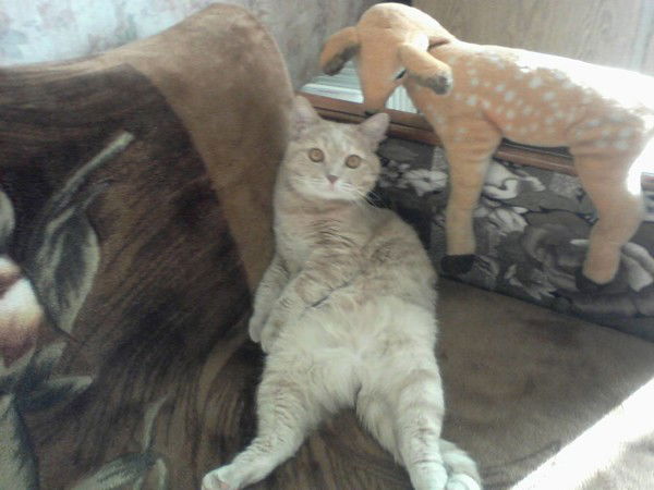 Татьяна Овчинникова