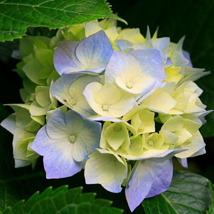 Колледж Информатики Колледж Информатики