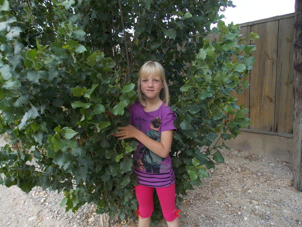 Ирина Глазкова