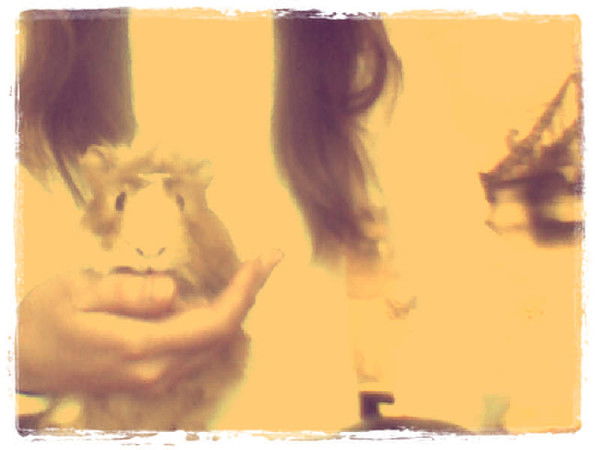 Даша Яковлева