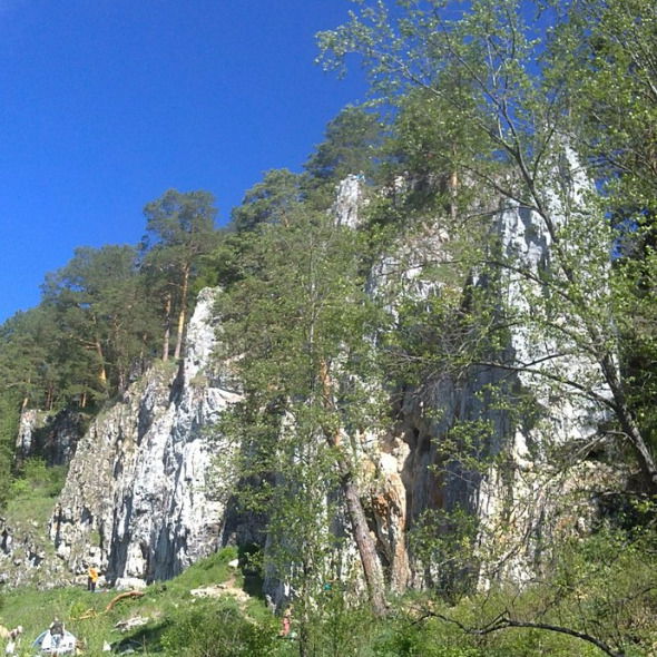 Елена Дедюк