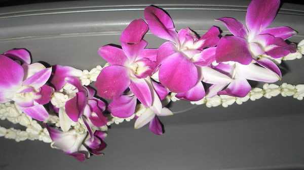 Анна Горбань