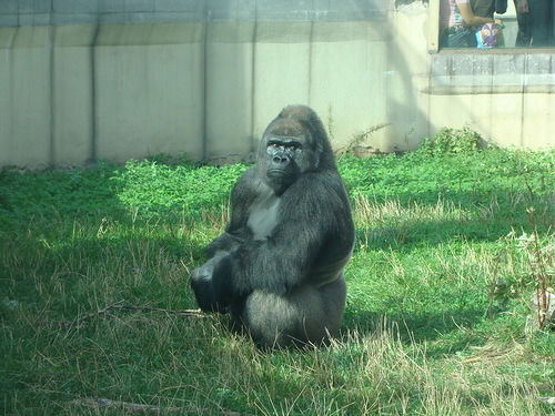 Оразгали Жаканов