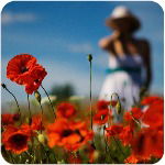 Светлана Тарасова