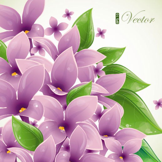 Наталья Голубкова