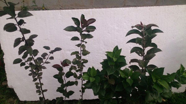 Болат Акылбекович