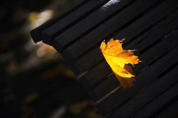 Бехруз Юлдашев