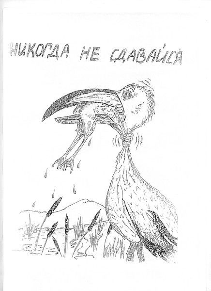 Андрей Аносов