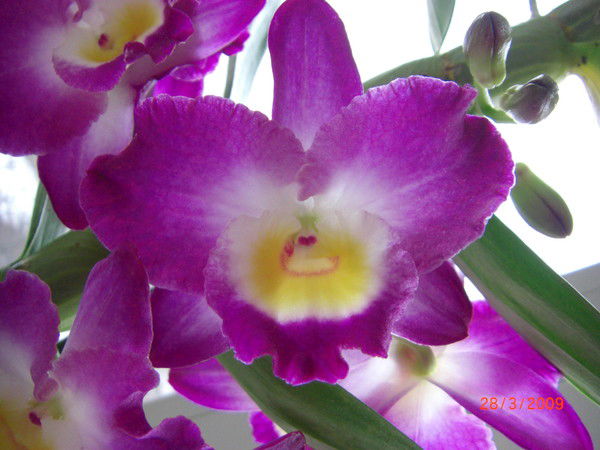 Наталья Агеева