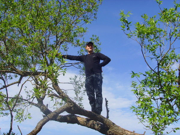 Николай Молодцев