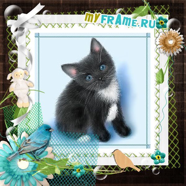 Соня Чурина