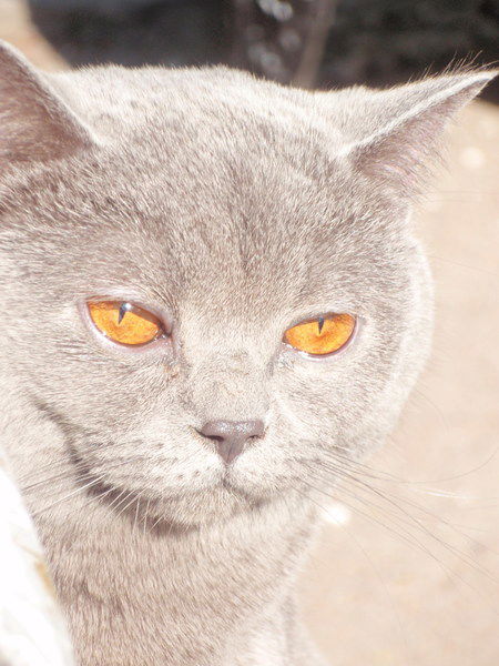 Марина Спасская