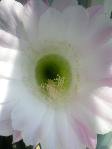 Татьяна Николаевна