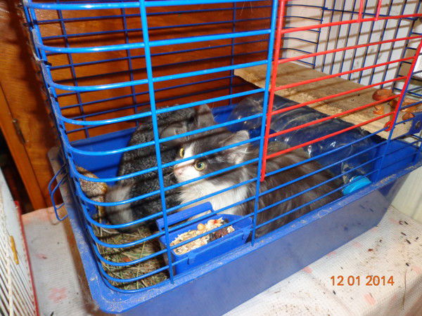 Дима Ющенко