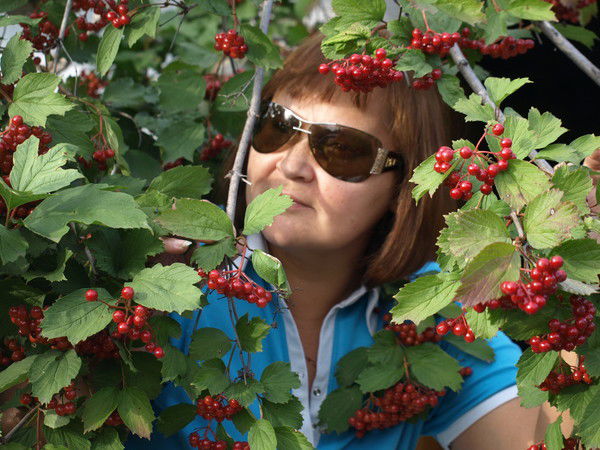 Алла Клишина