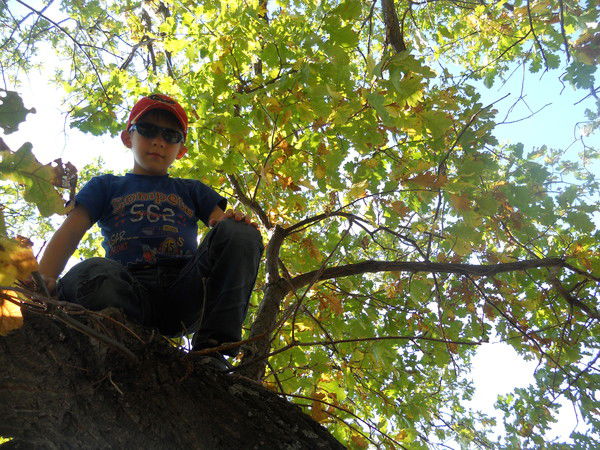 Сергей Гупалов