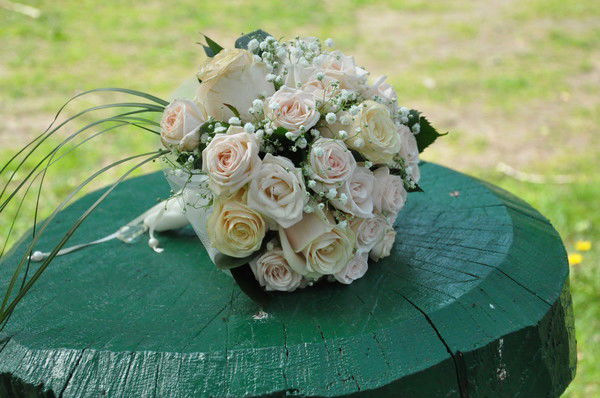 Маришка Маришка