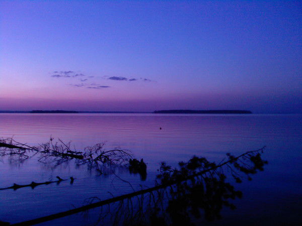 Раиса Яричина