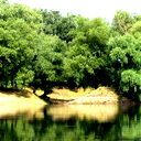 Лариса Панкратьева