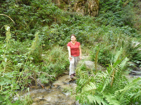 Асель Амангельдиевна