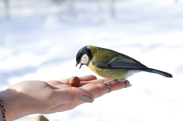 Динара Нурмагамбетова