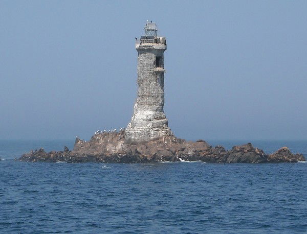 Лена Чикунова