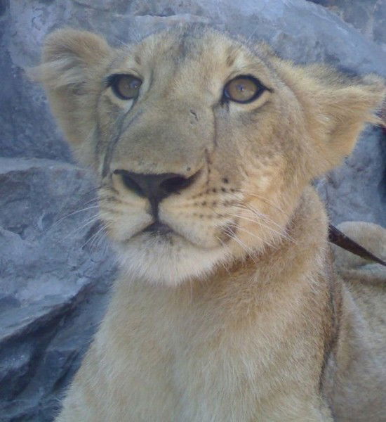 Дмитрий Бароха