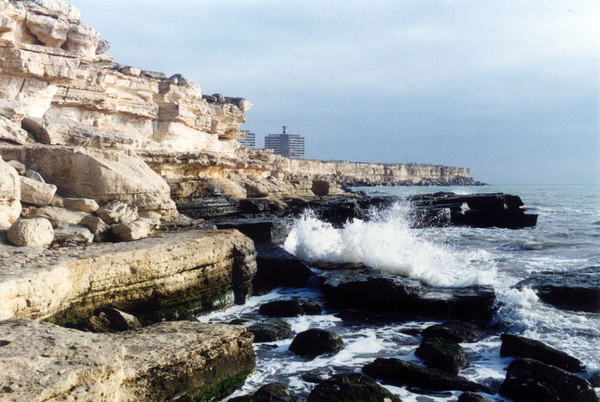 Арман Сырбай