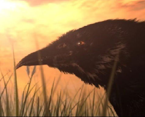 Никита Меньшов