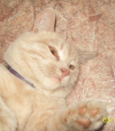 Сергей Кузнецов