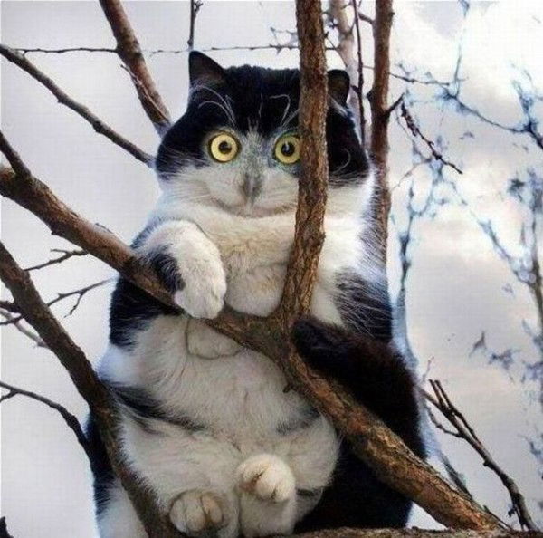 Андрей Дерюжкин