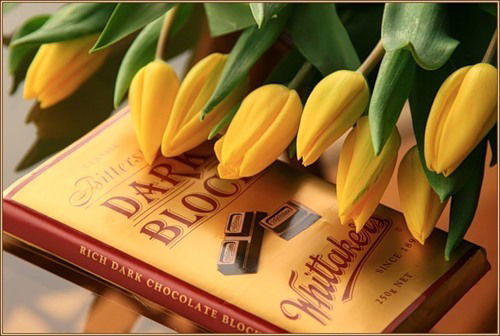 Елена Ветошева