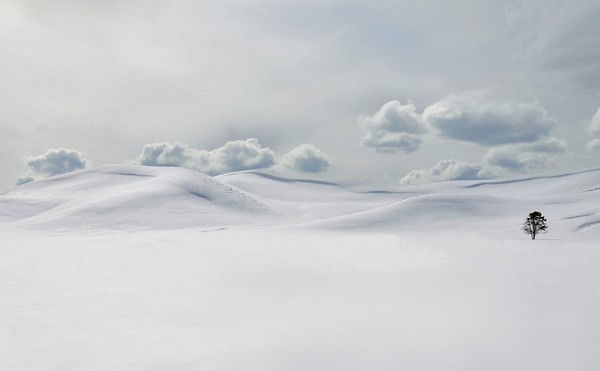 Андрей Павлов
