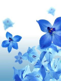 Наталья Новокозлова