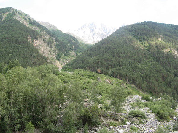 Анатолий Антонюк