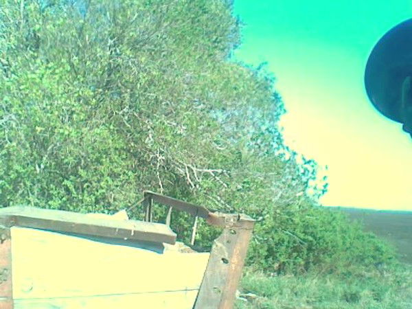 Пётр Кривицкий