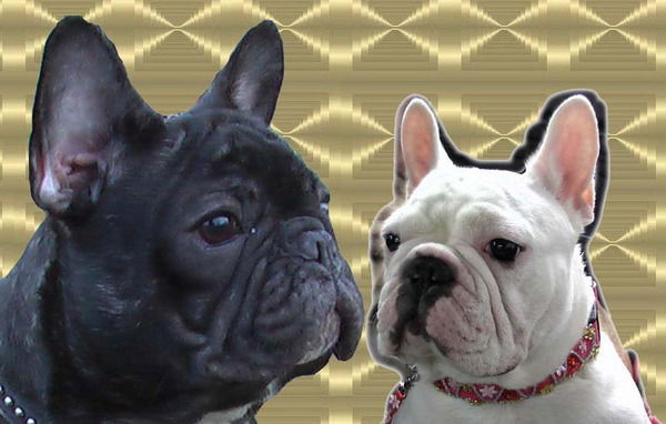 Инга Бондарь