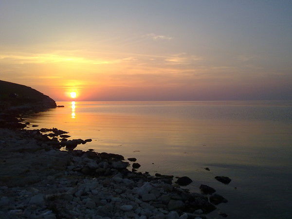 Александр Коваль