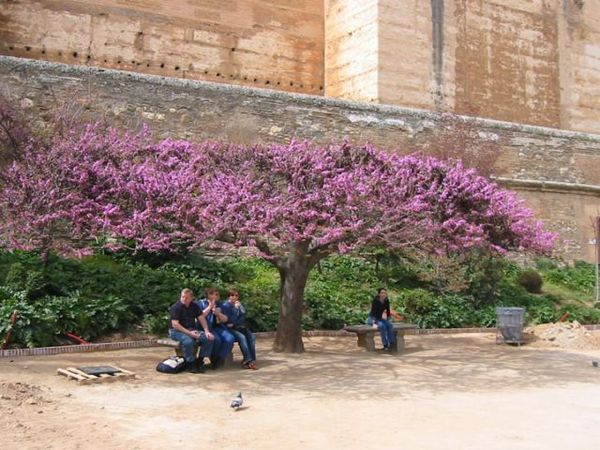 Ирина Антоненко