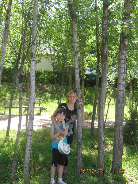 Елена Кастравец (Дорохова)