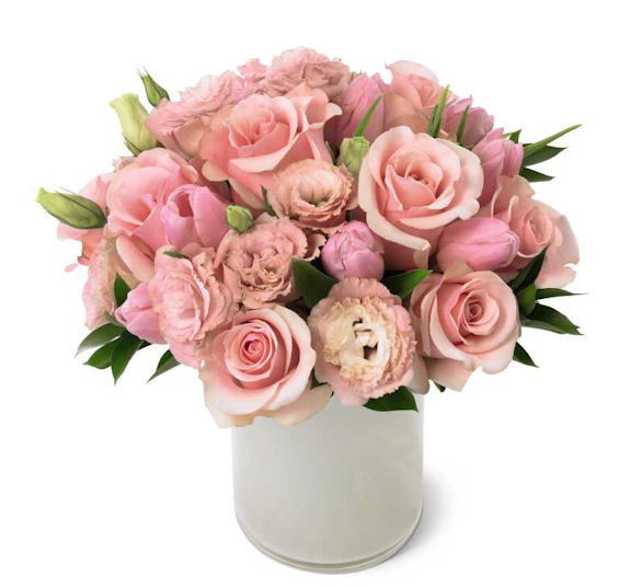 Алина Амарцева